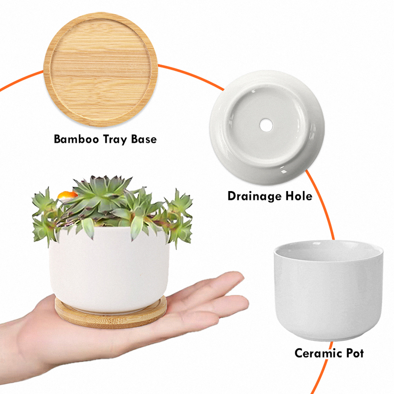 VOTE Ceramic Plant Pot, Banned Books, Reproductive Rights, BLM, LGBTQ Progress, Political Activism, Roe v Wade
